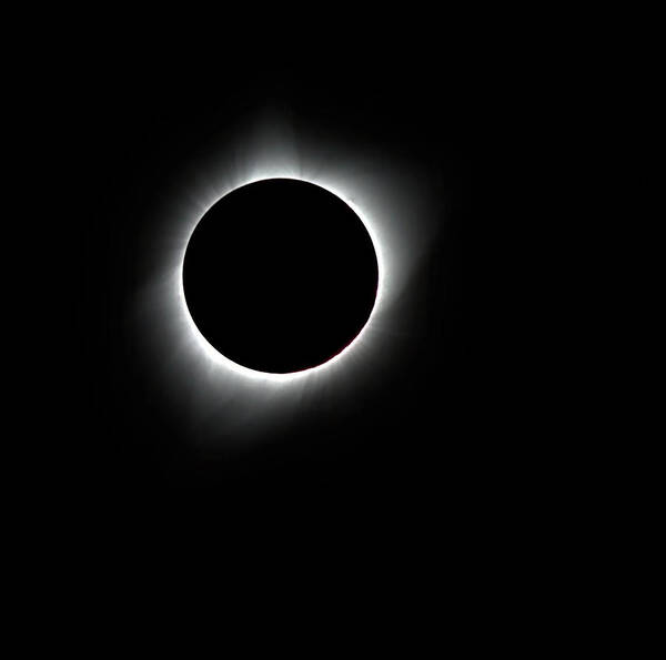 Moon Art Print featuring the photograph Solar Eclipse Corona Ring by Bob Falcone