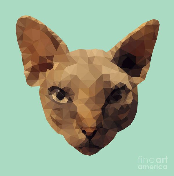 Sphynx Art Print featuring the digital art Sphynx Cat by Jindra Noewi