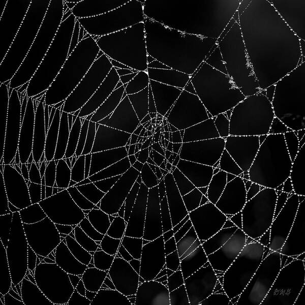 Abstract Art Print featuring the photograph Spider Web I BW by David Gordon