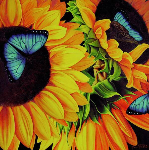 Kim Mcclinton Art Print featuring the painting Blue Morpho Sunflower Dream by Kim McClinton