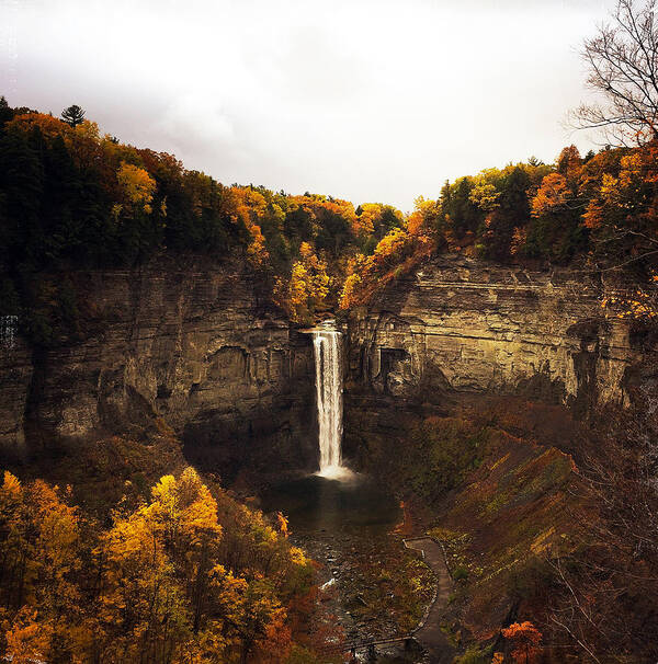 Falls Art Print featuring the photograph Taughannock Falls by Robert Dann