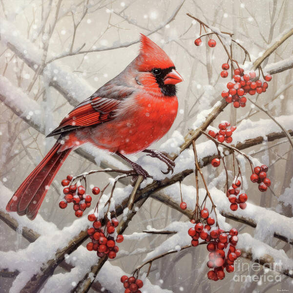 Northern Cardinal Art Print featuring the painting The Handsome Northern Cardinal by Tina LeCour