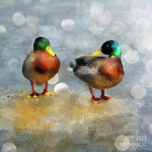 Duck Art Print featuring the digital art The Introducktion by Lois Bryan