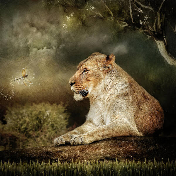 Lioness Art Print featuring the digital art The Lioness by Maggy Pease