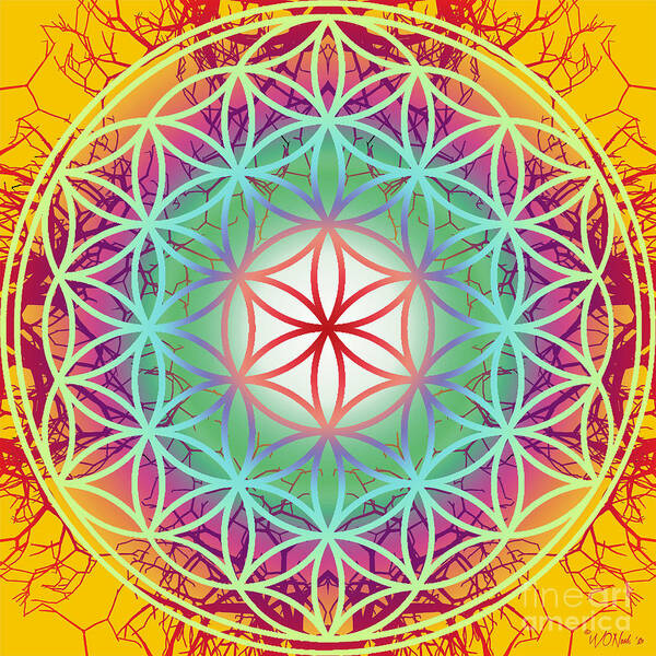 Geometry Art Print featuring the digital art Sacred Geometry, No. 14 by Walter Neal