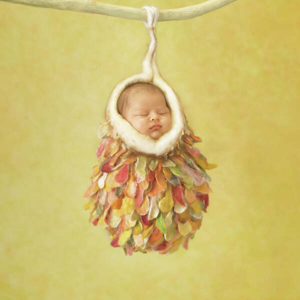 Cocoon Art Print featuring the photograph Tiny Cocoon by Anne Geddes