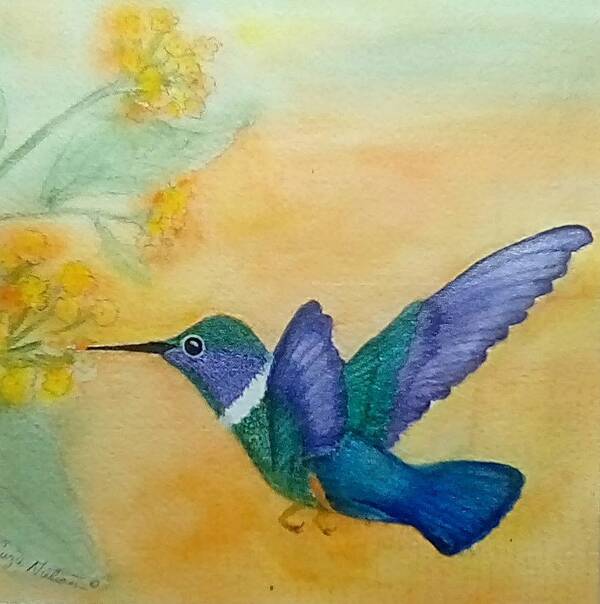 Hummingbird Art Print featuring the painting Tiny Hummer by Susan Nielsen