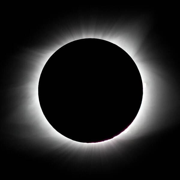Solar Eclipse Art Print featuring the photograph Total Solar Eclipse by David Beechum