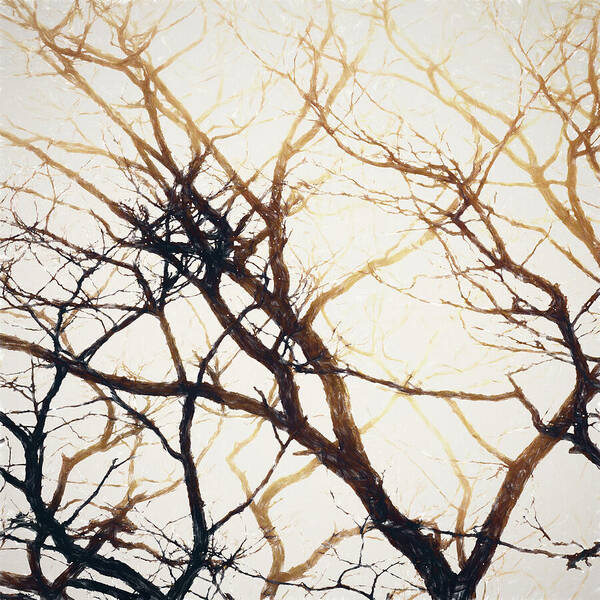 Branches Art Print featuring the digital art Tree Branches Abstract 2 by Tanya C Smith