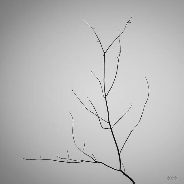 Abstract Art Print featuring the photograph Tree Branches IV BW by David Gordon