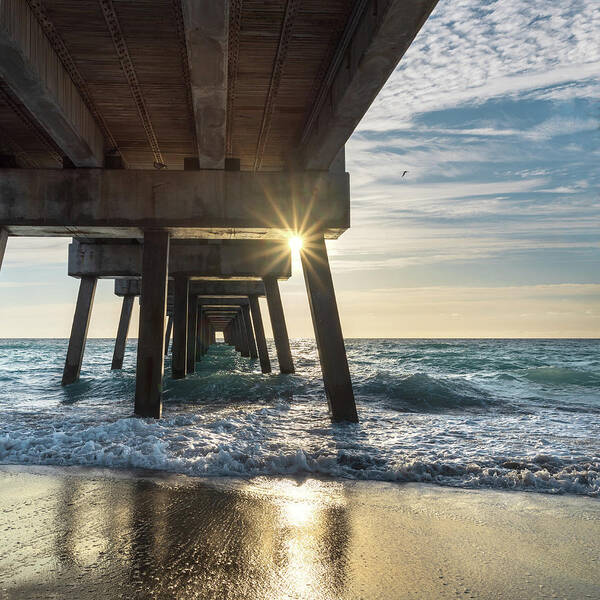 Juno Pier Art Print featuring the photograph Under Juno Pier by Laura Fasulo