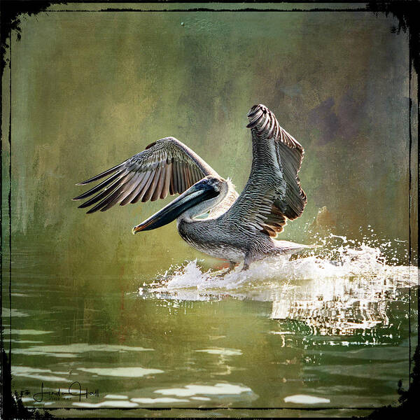 Pelican Art Print featuring the digital art Walking on Water by Linda Lee Hall