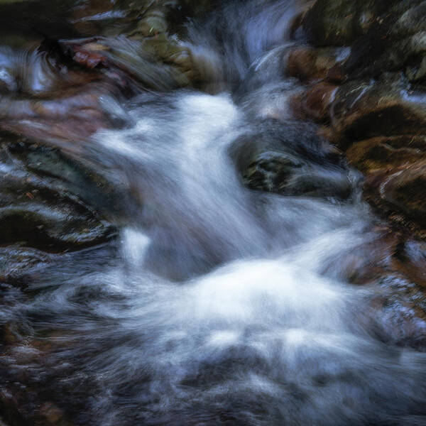Water Swirl Art Print featuring the photograph Water swirl, Lagunitas Creek by Donald Kinney