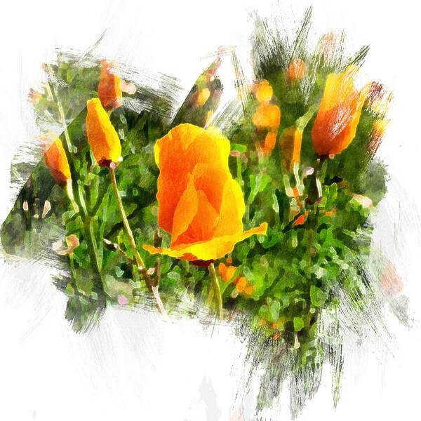 Poppies Art Print featuring the digital art Watercolor Poppies by Rebecca Herranen