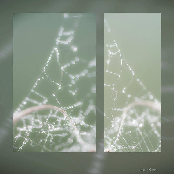 Web Art Print featuring the photograph Web With Dew by Karen Rispin