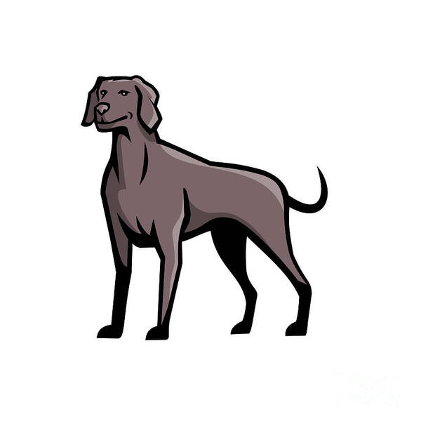 Mascot Art Print featuring the digital art Weimaraner Dog Breed Mascot by Aloysius Patrimonio