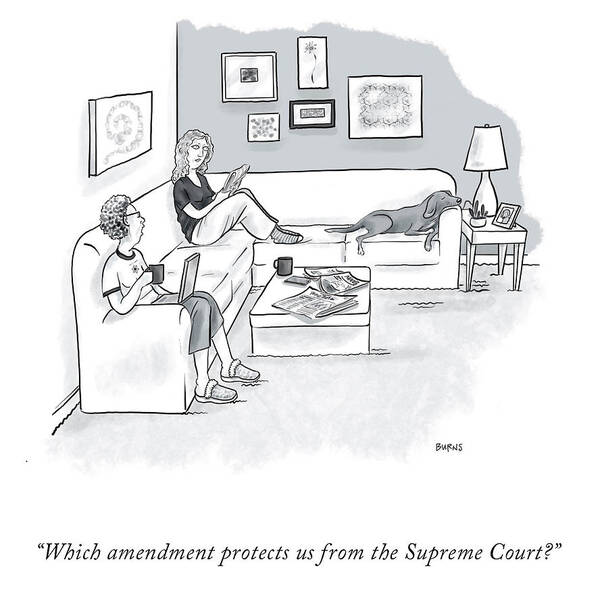which Amendment Protects Us From The Supreme Court? Art Print featuring the drawing Which Amendment Protects Us? by Teresa Burns Parkhurst