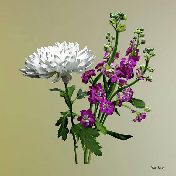 Chrysanthemum Art Print featuring the photograph White Chrysanthemum and Purple Snapdragons by Susan Savad