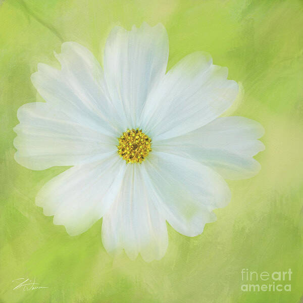 Cosmos Art Print featuring the mixed media White Cosmos Dreams II by Shari Warren