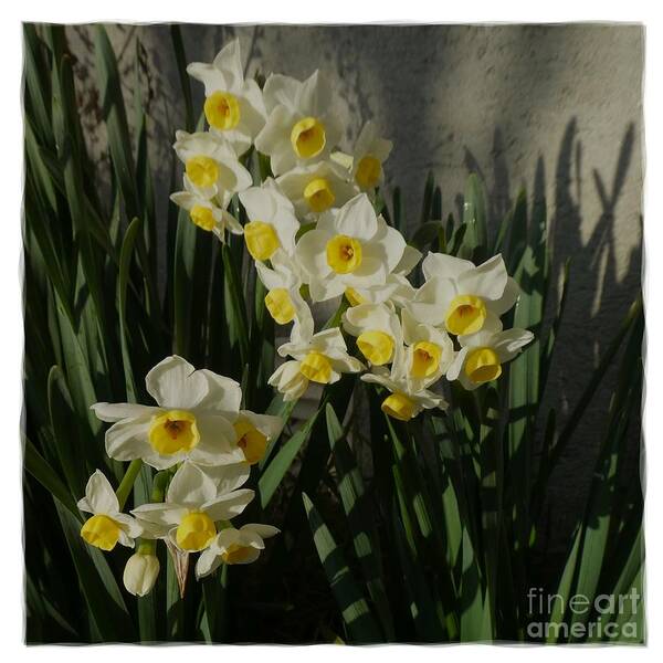 Digital Art Art Print featuring the photograph White Flowers 7 by Jean Bernard Roussilhe