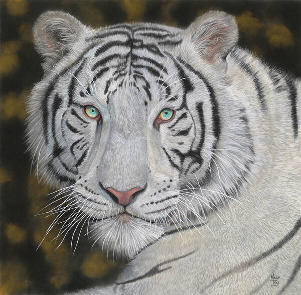 Tiger Art Print featuring the painting White Tiger by Mark Ray