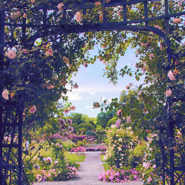 Rose Garden Art Print featuring the photograph Garden Gazebo View by Jessica Jenney