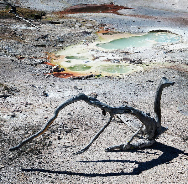 Thermal Art Print featuring the photograph Yellowstone Geyser Pools 2 by Marilyn Hunt