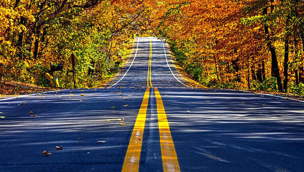 Road Art Print featuring the photograph Autumn Road #1 by Phil Koch