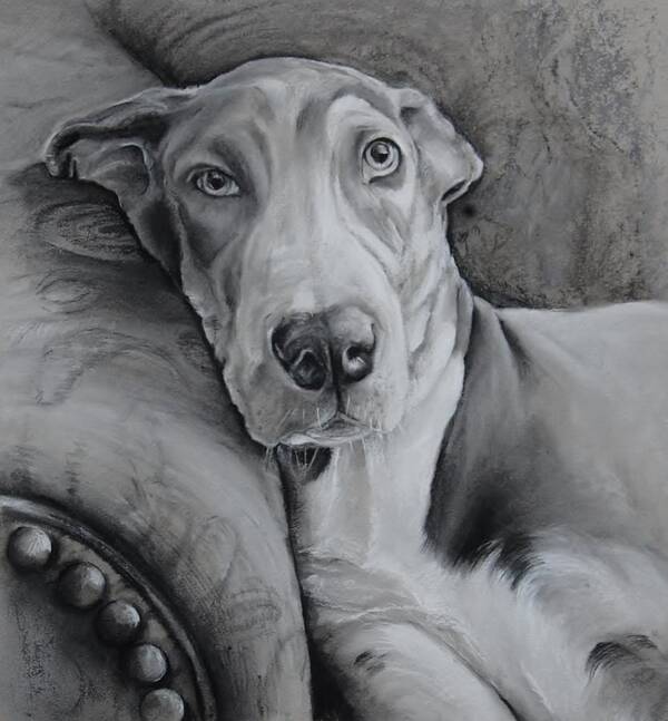 Puppy Art Print featuring the drawing Oakley by Jean Cormier