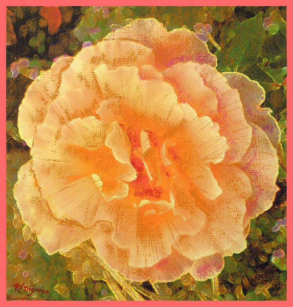 Rose Art Print featuring the painting Peach Begonia by Richard James Digance