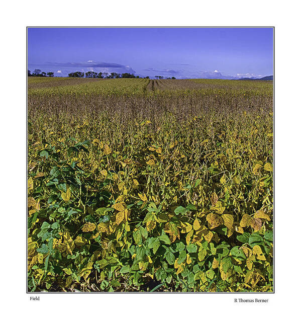  Art Print featuring the photograph Field by R Thomas Berner