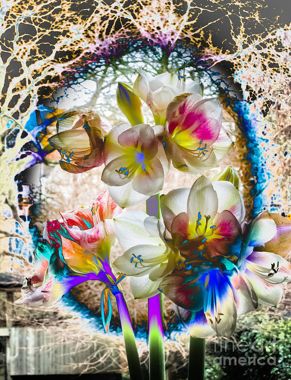 Amaryllis Art Print featuring the photograph Magic flowering by Casper Cammeraat