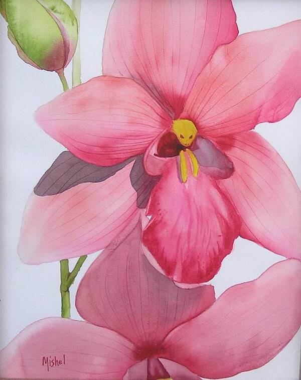 Orchid Art Print featuring the painting Orchid by Mishel Vanderten