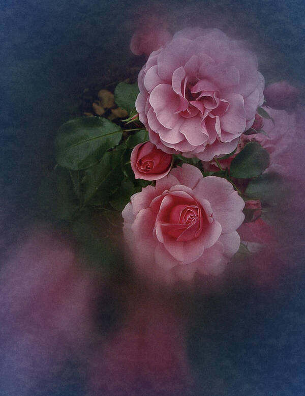  Roses Art Print featuring the photograph Love is all you need by Richard Cummings
