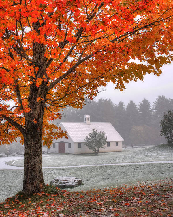 Vermont Art Print featuring the photograph Snow Dust over Autumn Foliage by Joann Vitali