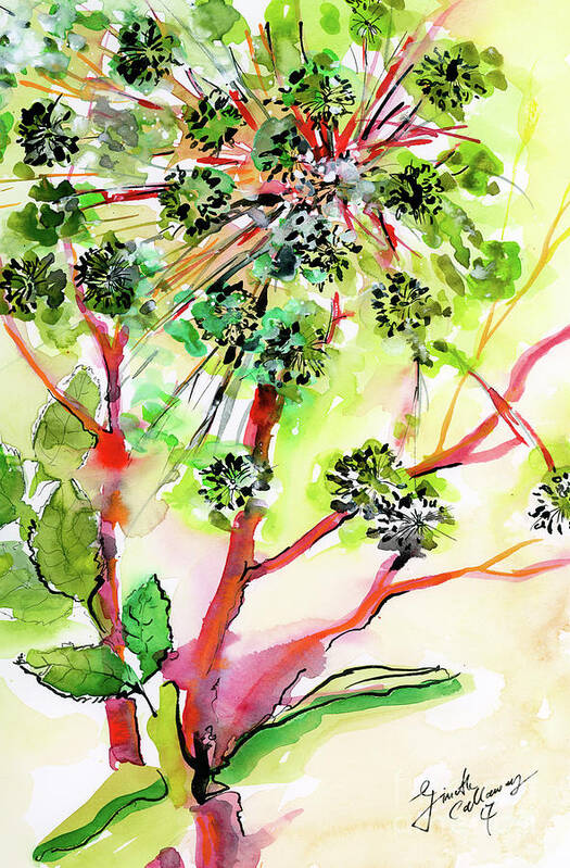 Green Art Print featuring the painting Angelica Modern Herb Watercolor and Ink by Ginette Callaway