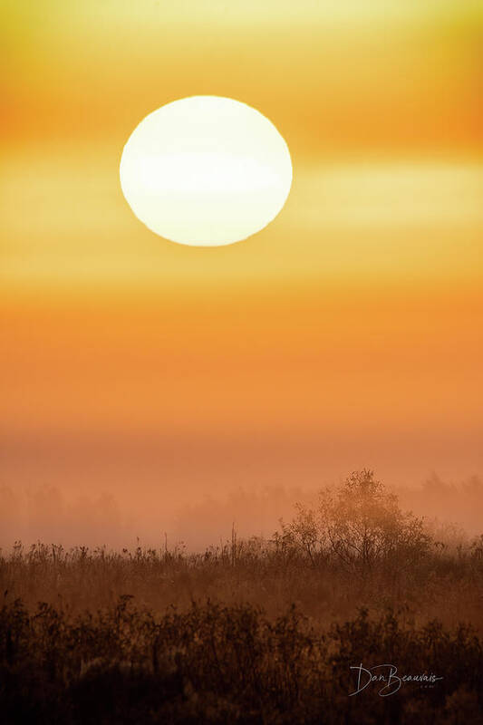 Sunrise Art Print featuring the photograph Foggy Sunrise 9564 by Dan Beauvais