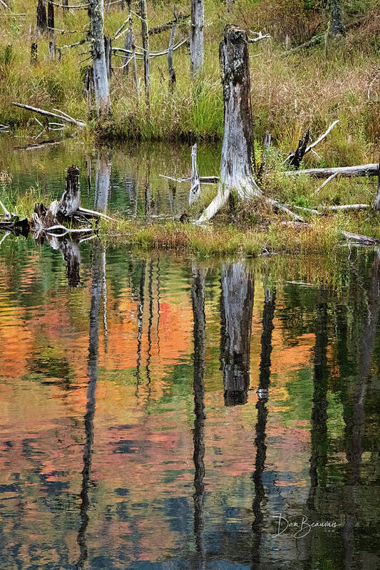 New England Art Print featuring the photograph Reflection in a Beaver Pond #5039 by Dan Beauvais