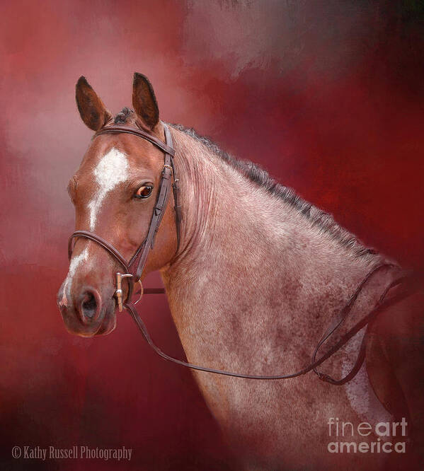 Equine Art Print featuring the photograph Red Roan by Kathy Russell