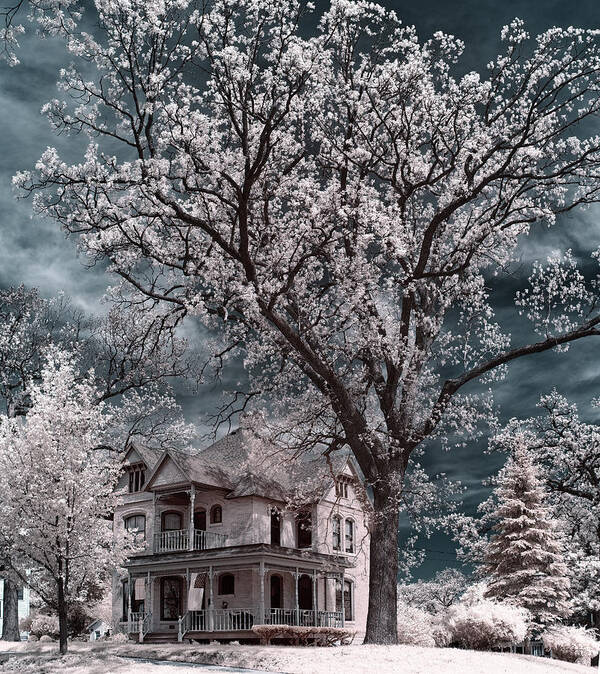 Oak Art Print featuring the photograph Oakitecture - Historic Stoughton home and oak tree in infrared spectrum by Peter Herman