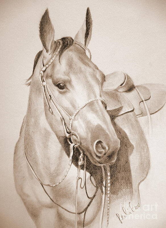 Horse Art Print featuring the drawing Horse Drawing by Eleonora Perlic