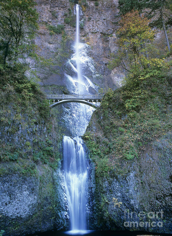 North America Art Print featuring the photograph Multnomah Falls Columbia River Gorge by Dave Welling