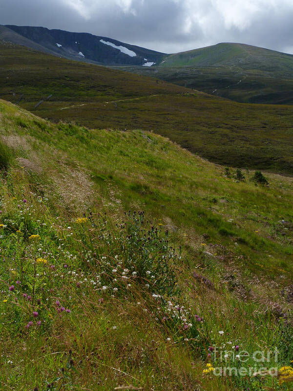 Seasons Art Print featuring the photograph Summer snow patches - Cairngorm Mountains by Phil Banks