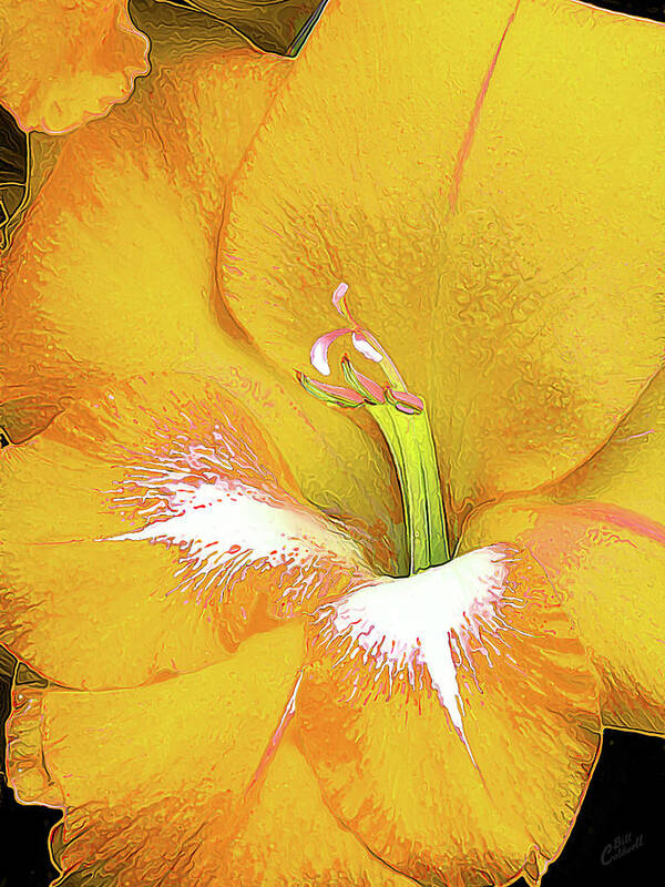 Nature Art Print featuring the photograph Big Glad in Yellow by ABeautifulSky Photography by Bill Caldwell
