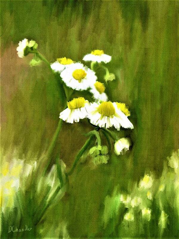 Daisies Art Print featuring the painting Daisies by Diane Chandler