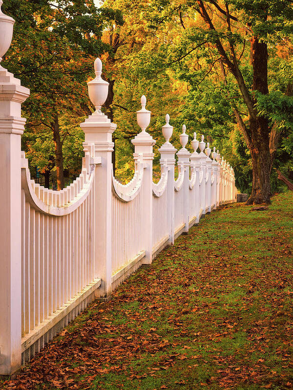 Fence Art Print featuring the photograph Fence Line by Thomas Hall