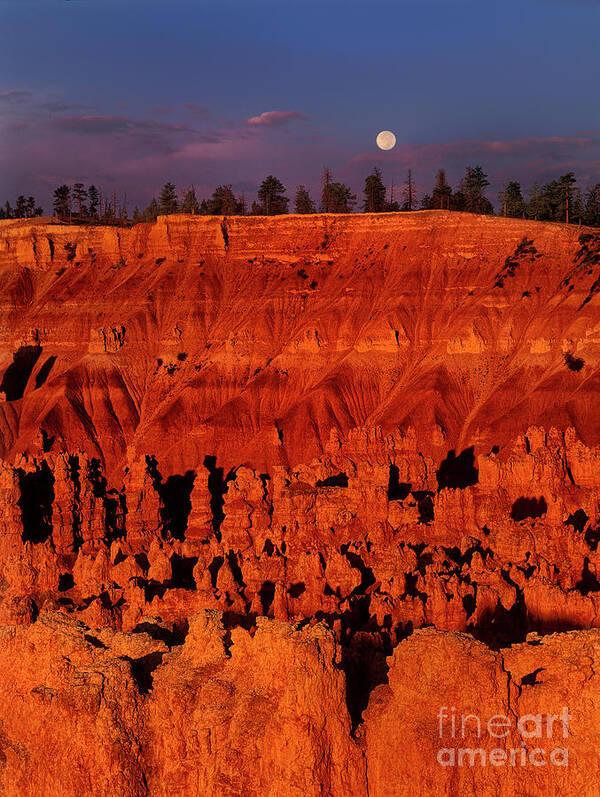 Dave Welling Art Print featuring the photograph Full Moon Silent City Bryce Canyon National Park Utah by Dave Welling