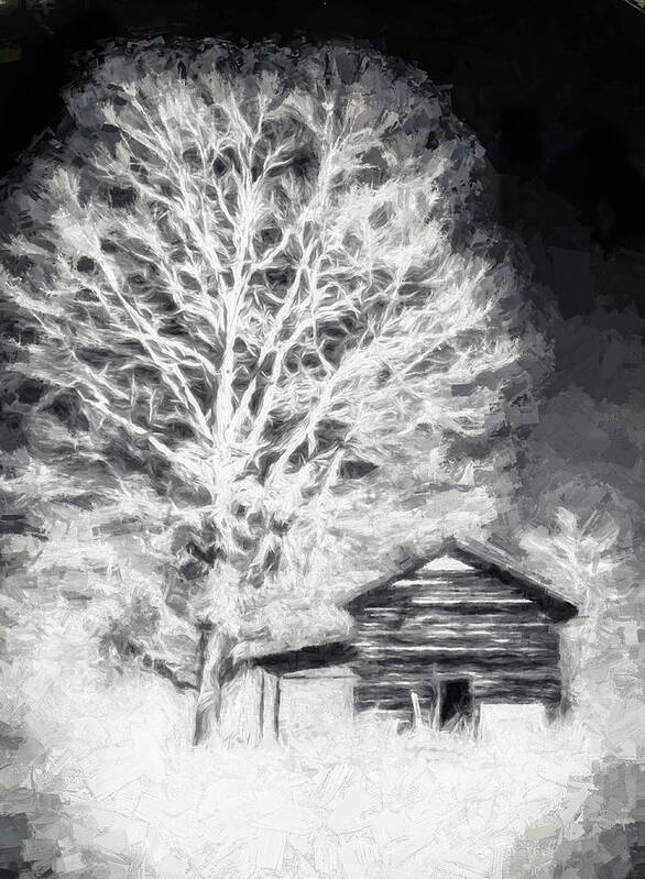 North Carolina Art Print featuring the digital art Shade of a Tree fx by Dan Carmichael