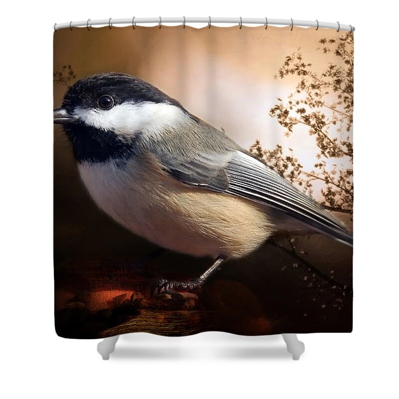 Bird Shower Curtain featuring the photograph Black Capped Chickadee by Elaine Manley