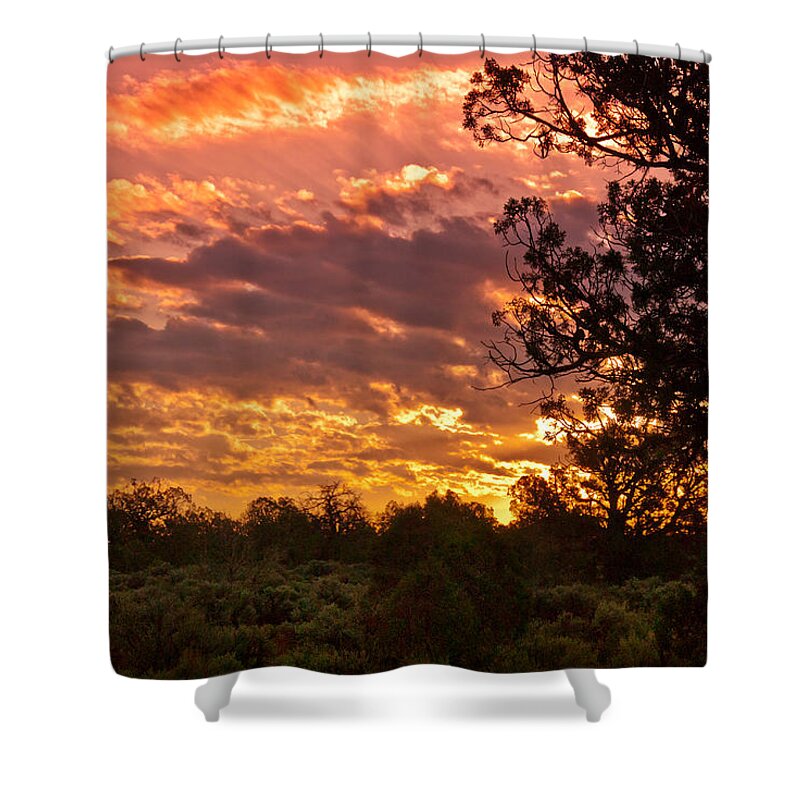 Arizona Shower Curtain featuring the digital art Canyon deChelly Sunset in Copper and Gold by Bob and Nadine Johnston